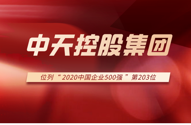 尊龙凯时控股集团列2020中国企业500强第203位！